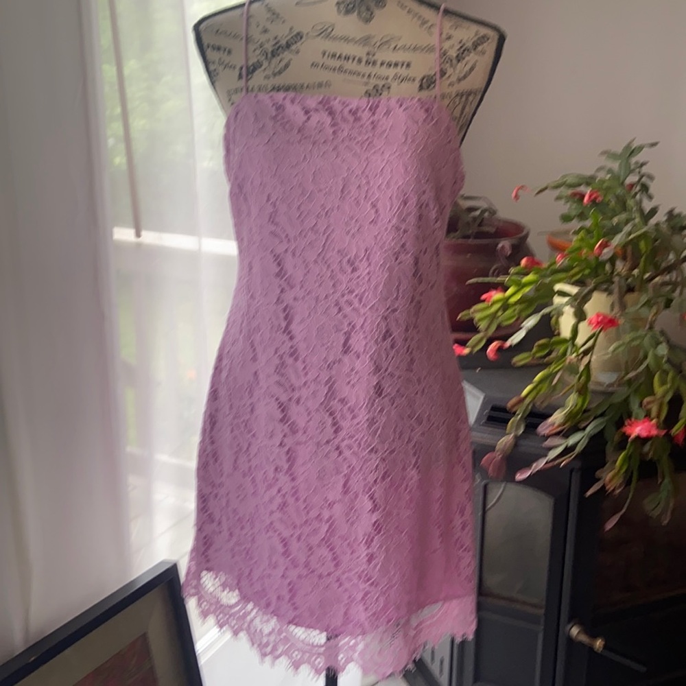 Francescas Orchid Pink lace minidress NWT